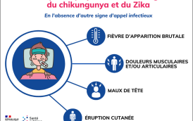 Principaux symptomes